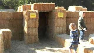 Kids Pumpkin Patch 2008