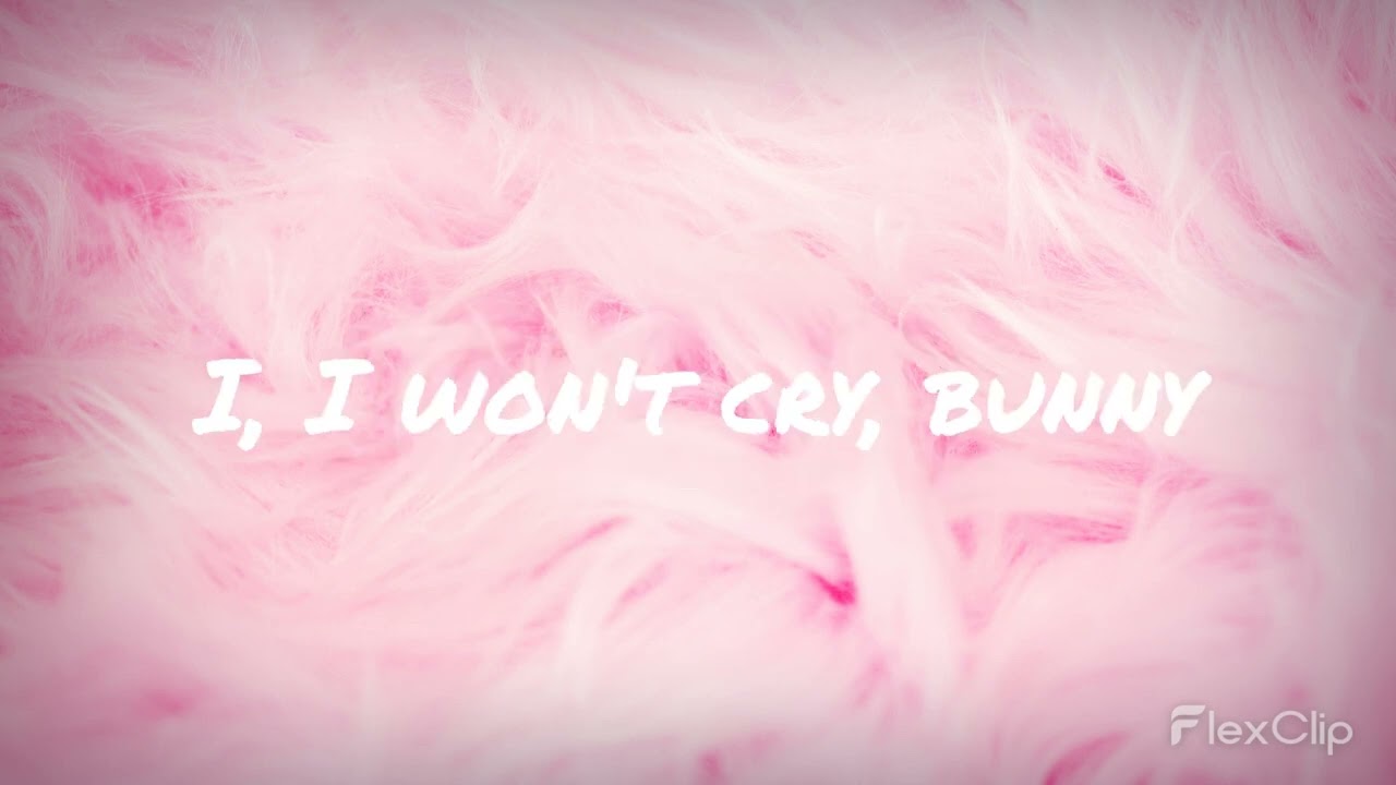 Sofie Dossi - BUNNY (Lyrics)