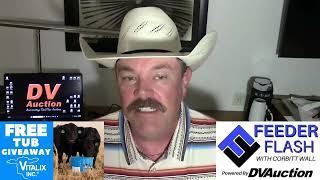 Celebrity Feeder Flash 6/11:  Vanishing Basis Wealth