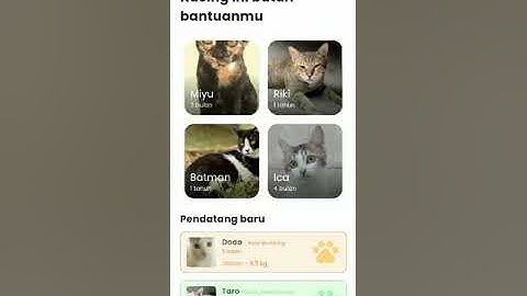 Final Project Flutter