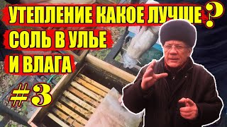 Утепление ульев на зиму Какое лучше  #3