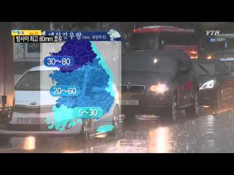 밤사이 중부 국지성 호우...최고 80mm / YTN