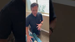 Chap Finds Mold Hidden Behind Walls #detectiondog #molddetection #dog #hiddenmold