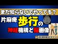 片麻痺歩行の神経機構と脳画像について
