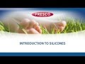 Introduction to FRESCO SILICONES - English