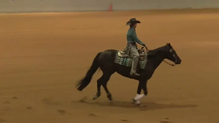 220225 Non Pro Connie Hester on Boon Bedazzled