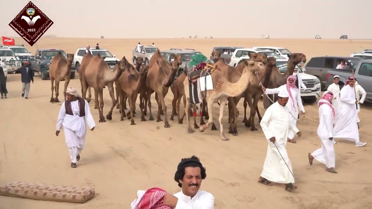 بنات شريان منقيةسعيد مشعل المويس وأخوانه