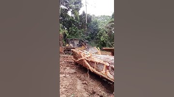 How to pull up logs by the dozer! #trendingshorts