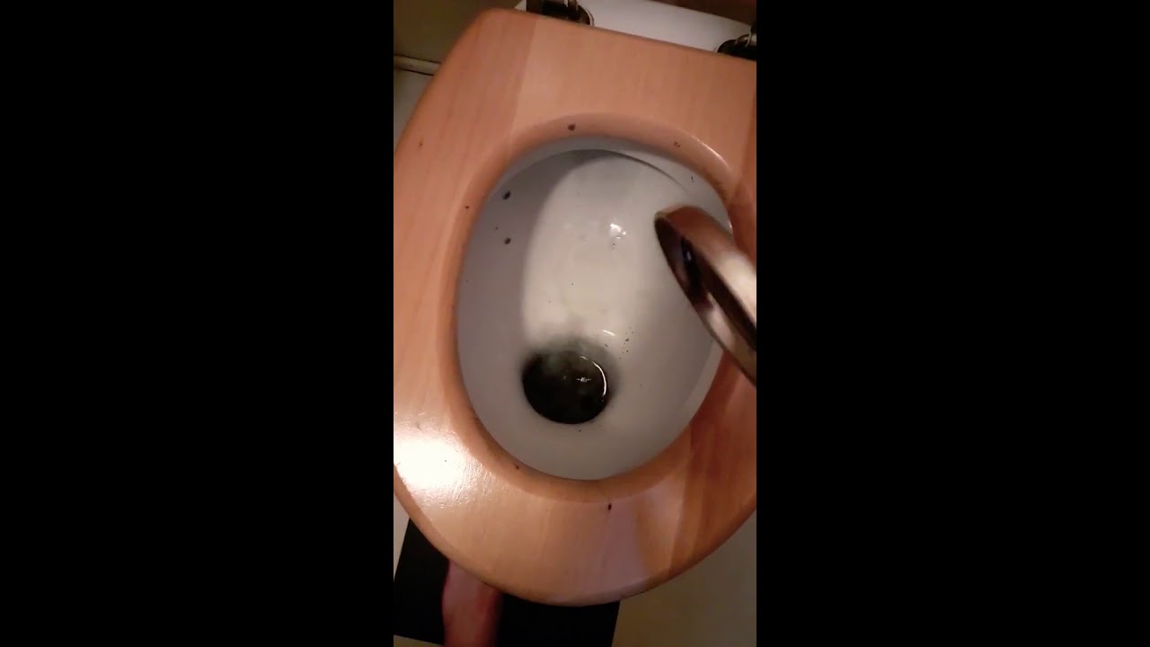 Shishakohle Entsorgung tutorial