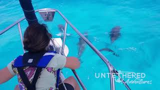 We sailed with dolphins in Hawk Channel!