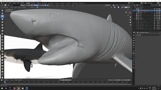 Sculpt White Shark Blender (Timelapse)