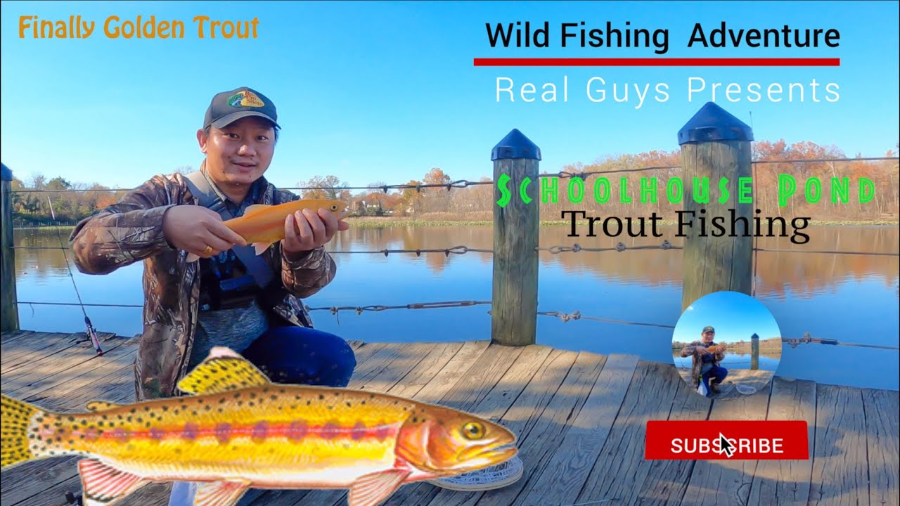 Schoolhouse pond Fishing| Golden Trout Fishing| Wild Fishing Adventure|