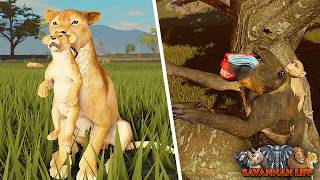 Famous NEW Baby Carry Animal Update! | ROBLOX Savannah/Jungle Life Wealth