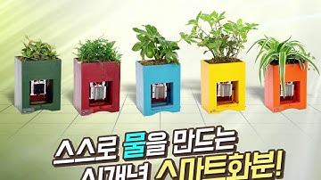알쓸신농 스스로 물을 만드는 신개념 스마트화분