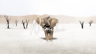 Wildlife of Namibia