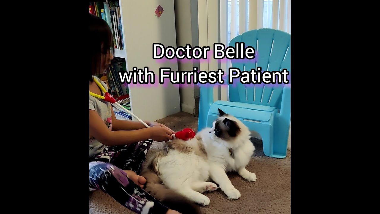 4 year old Doctor Belle plays Doctor with furry patient cat
