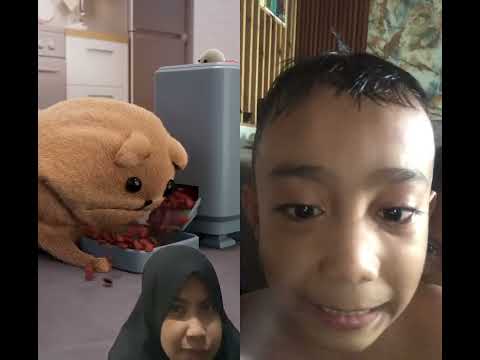 8 February 2026 