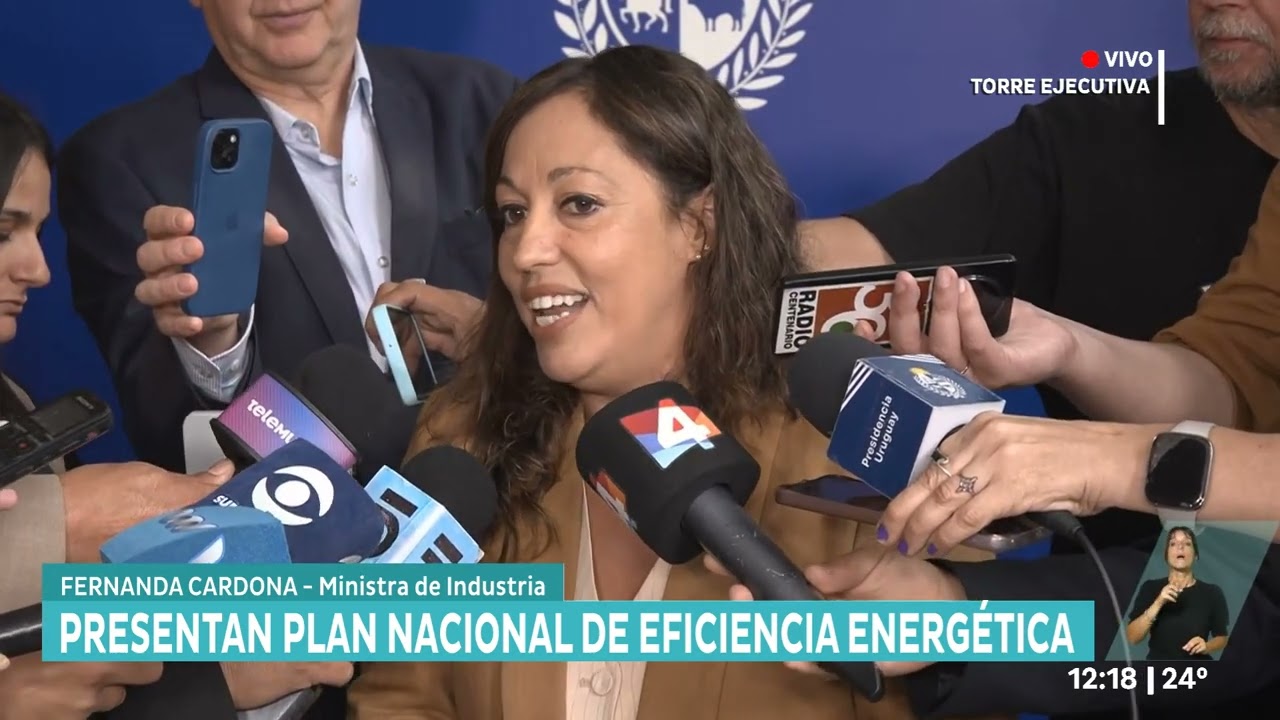 Se realizó la presentación del Plan Nacional de Eficiencia Energética