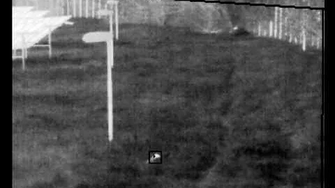 False Alarms Elimination