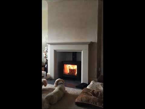 Contura i5L Wood-burning