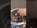 Halaan Soup Seashells Recipe Halaan Soup Seashells Recipe