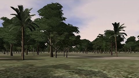 Huge Forest SpeedTree Demo (no Sound)   IDV 2003