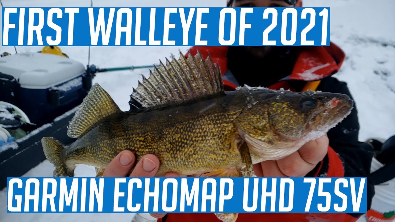 First Iced Walleye of 2021! (Using my Garmin ECHOMAP UHD 75sv