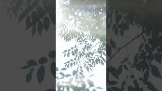 『ちっぽけな風景25〜素敵な明日〜』