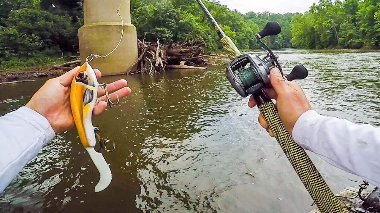 Неожиданный улов в ручье Тини-Крик во время рыбалки на MUSKY || 50-й государственный рыболовный т...