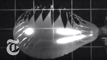 How Balloons Pop | ScienceTake | The New York Times