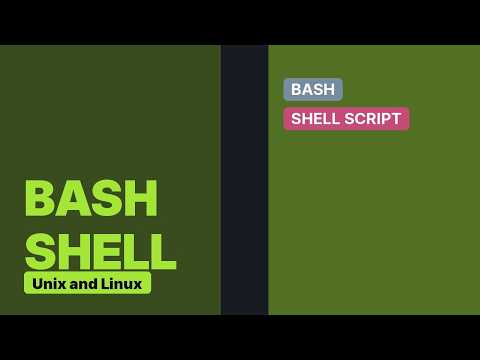 nvm command not available in bash script (4 Solutions!!)