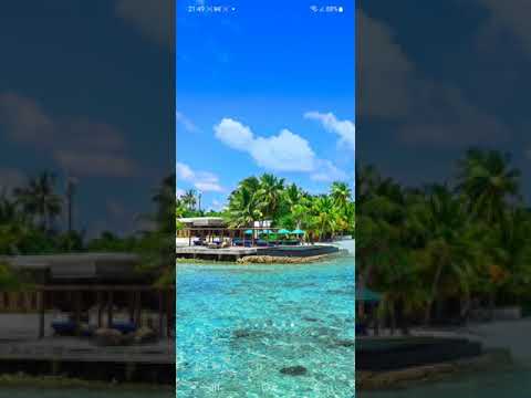 مدريد لاتجبر مهم حدت