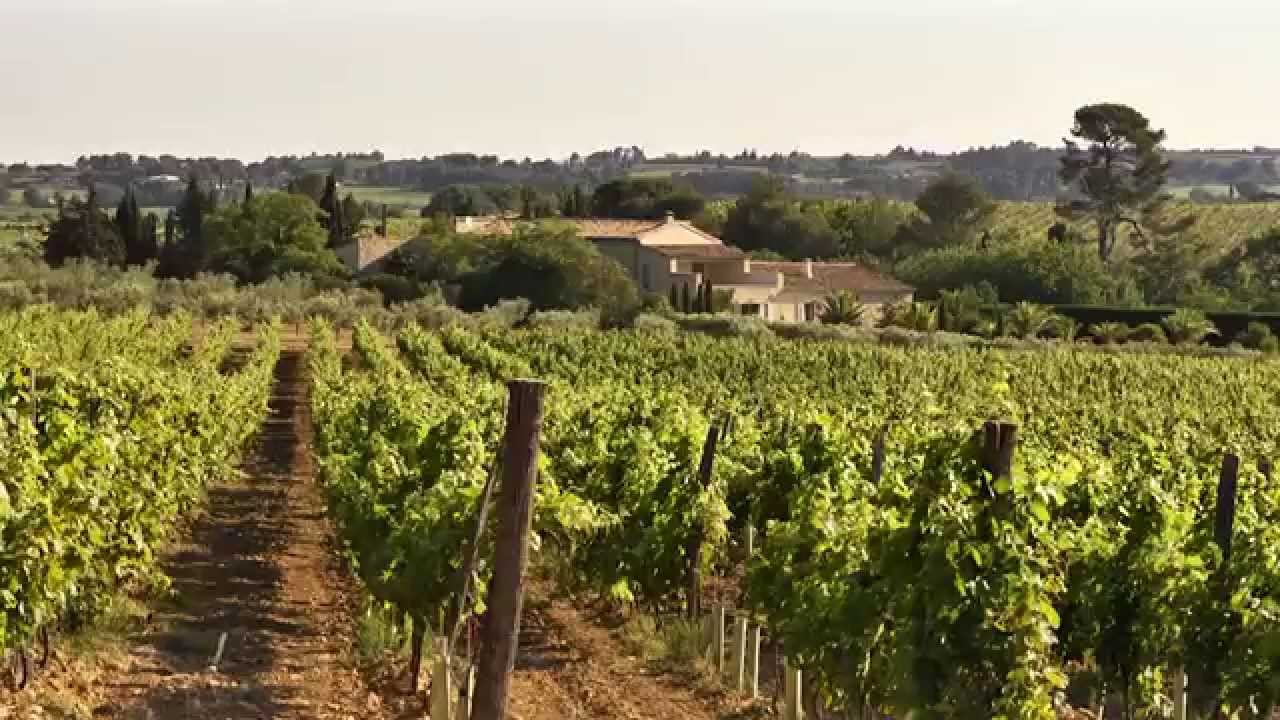 The Story of Domaines Paul Mas Languedoc South of France