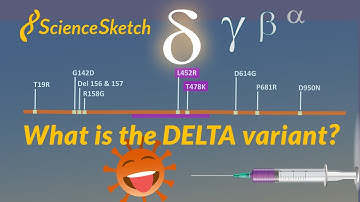 What is the Delta Variant?