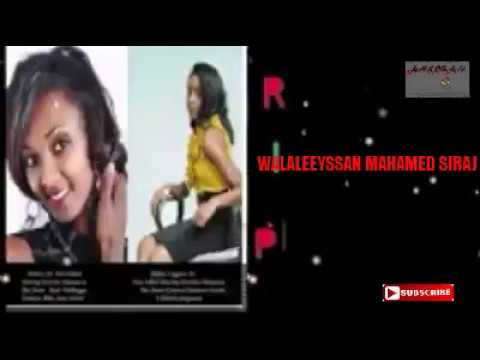 Kadiir Gammaddaa: Hin Booyin Harmee ** NEW 2018 Oromo Music