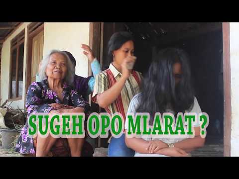 SUGEH OPO MELARAT? - Parody Jawa bahasa Indonesia - Download Video Lucu