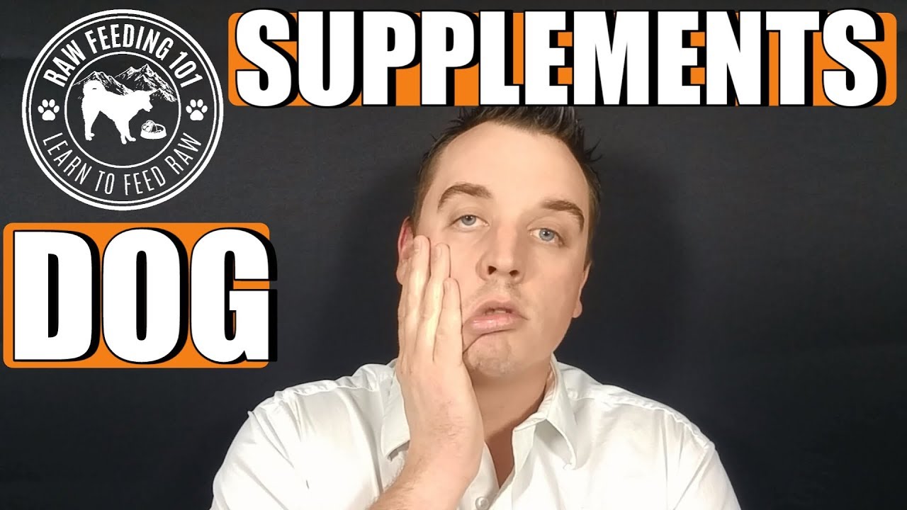 Dog Supplements For Raw Food YouTube