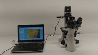 Nikon TS100-F Inverted Microscope Pred. to Ts2 [BOSTONIND] - 12909
