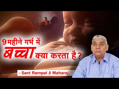 वीडियो: क्या बेले और रम्पल साथ रहते हैं?