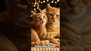 part 4 of kitten stories #ai #viral