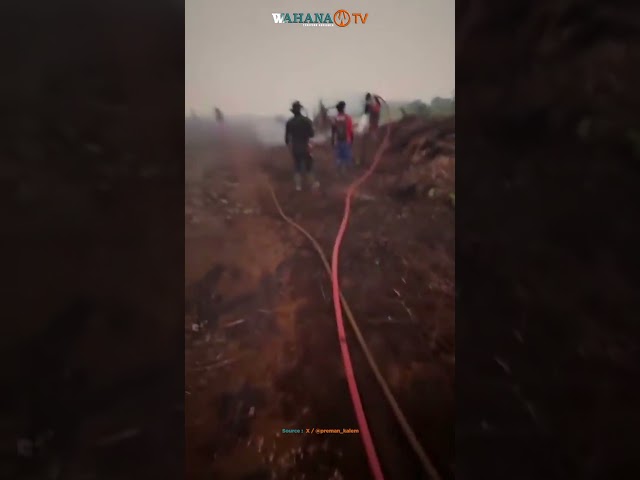 BAHAYA EFEK LAHAN GAMBUT DIGESEK SEDIKIT KELUAR API