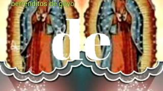 En una vistosa nube los berrenditos de goyo chords
