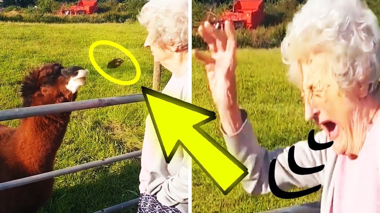 Best JUSTICE SERVED Moments Caught On Camera