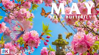 Springtime Splendor 4K | Singing Birds &amp; Blooming Spring Gardens 🌸 A Gentle Season Awakens