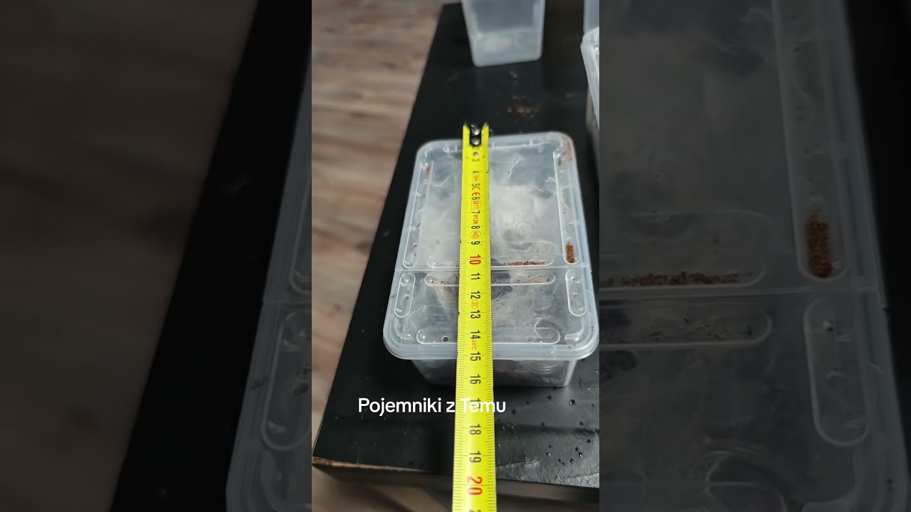 Omówienie pojemników z Temu tanie rozwiązanie i praktyczne.