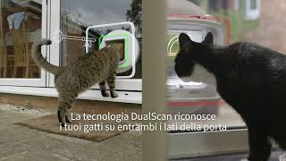 Gattaiola con lettore di microchip DualScan SureFlap™