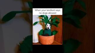 #funny memes part 33# YouTube #trending#shorts#video ππ€£π #funny memes part 33# YouTube #trending#shorts#video ππ€£π