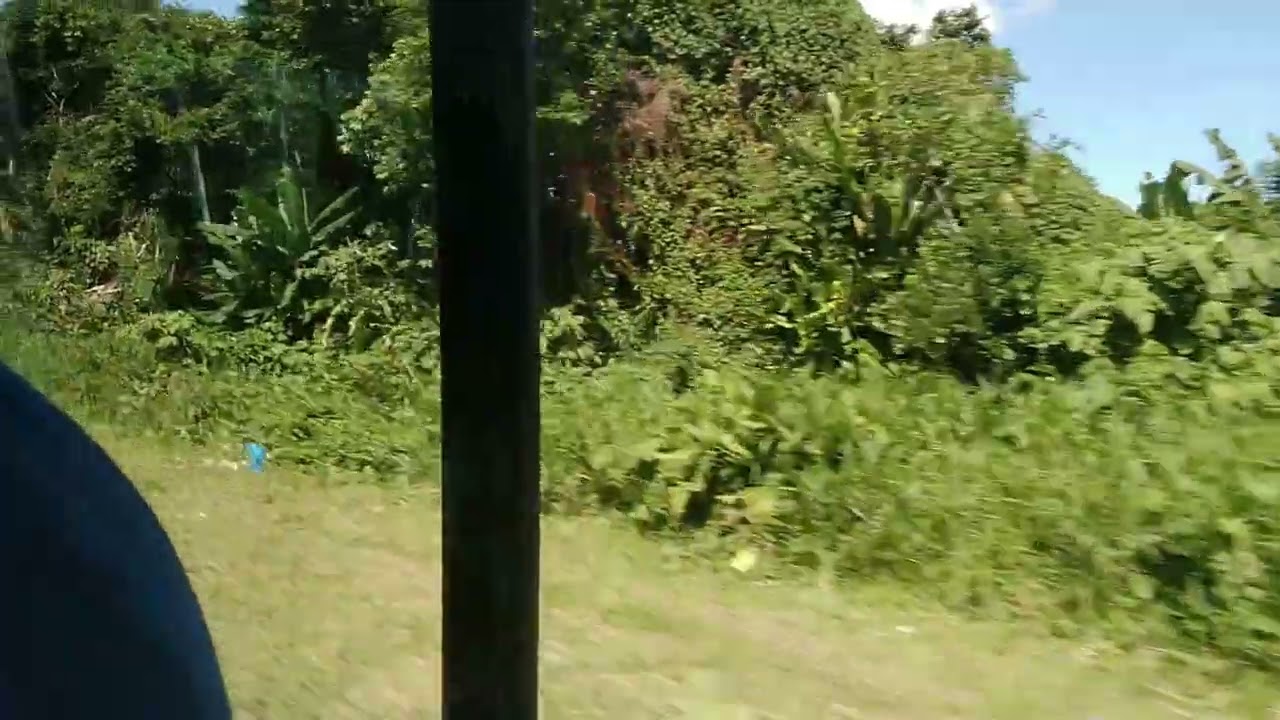 TRIP TO COSTA RICA BANANA PLANTATION. FUN TIME TO SEE HOW TO TAKE CARE AND PROTECT THE BANANAS.