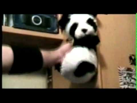 Oso Vicioso. Porn Teddy Bear - YouTube