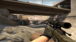 100% HS USP ACE + AWP ACE Overpass COTW #16